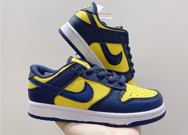 Kids Nike Dunk 24